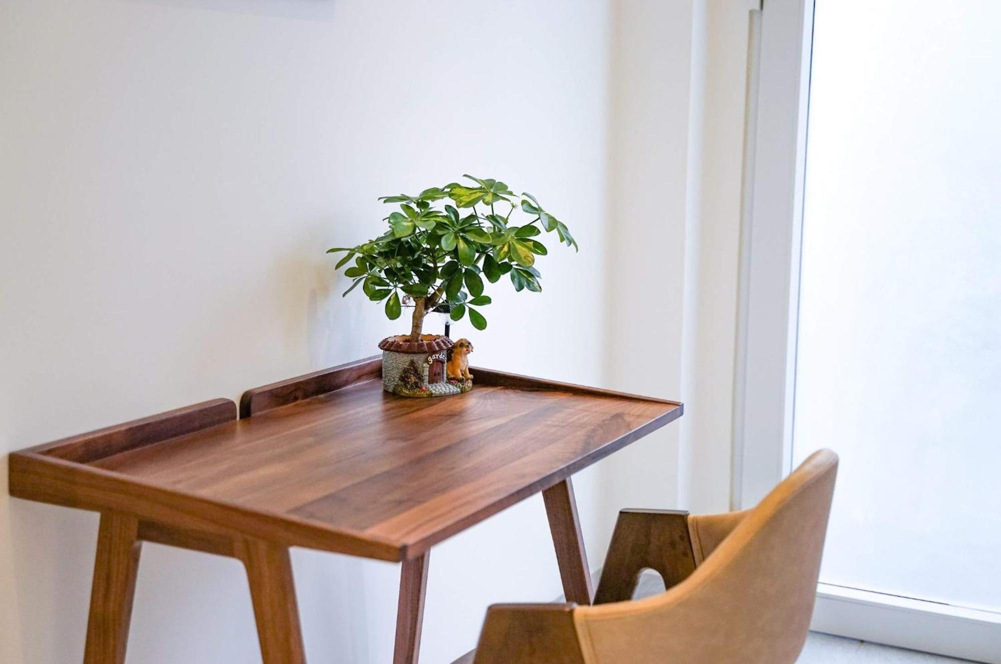 Local White House - Ecofriendly Homestay Da Nang Buitenkant foto