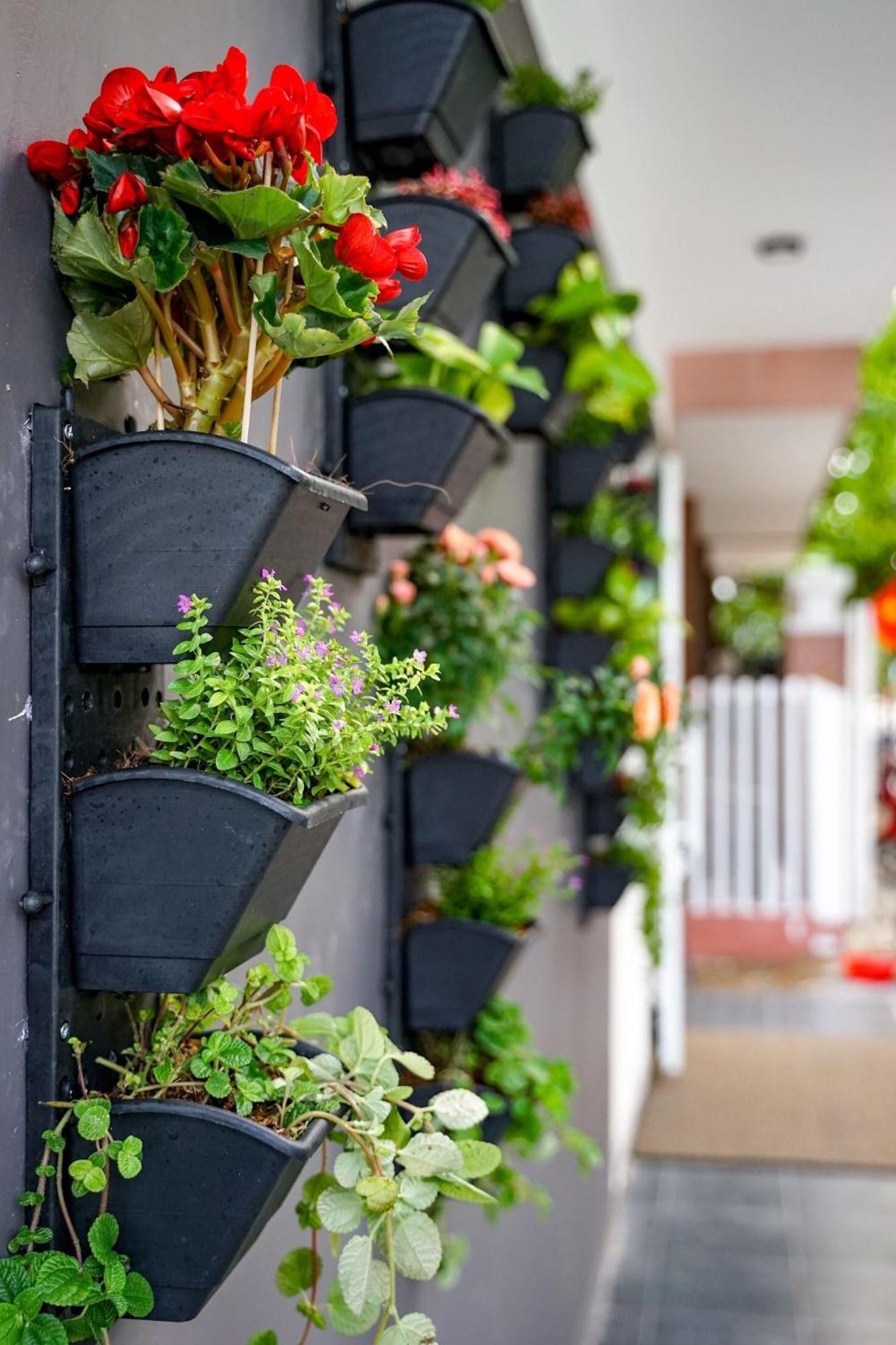 Local White House - Ecofriendly Homestay Da Nang Buitenkant foto