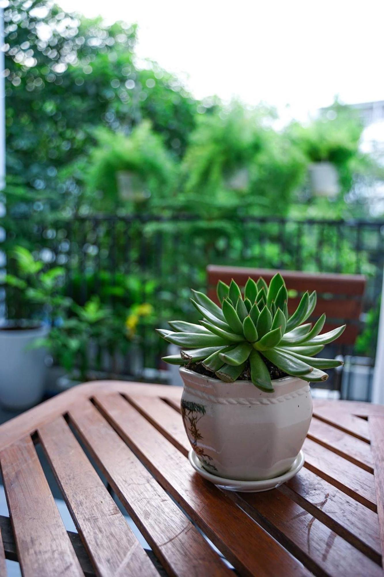 Local White House - Ecofriendly Homestay Da Nang Buitenkant foto