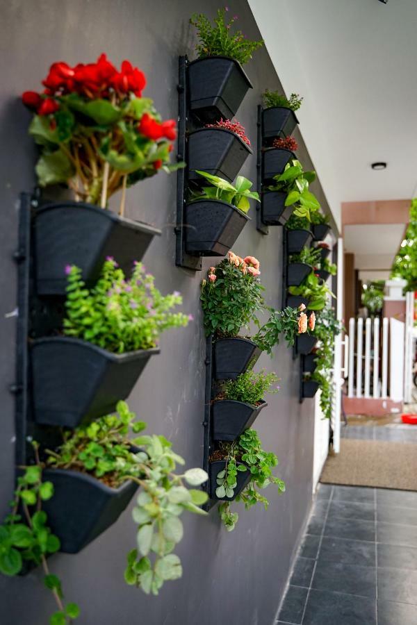 Local White House - Ecofriendly Homestay Da Nang Buitenkant foto